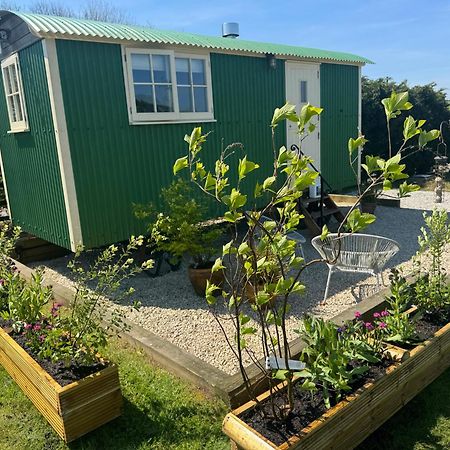 Toms Hut And Robins Rest Shepherd Huts Near Wadebridge Bagian luar foto