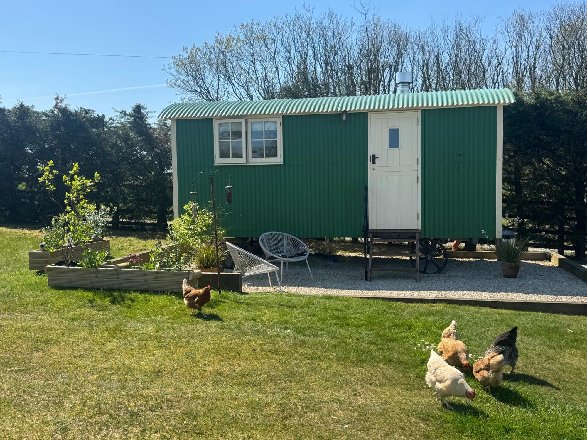 Toms Hut And Robins Rest Shepherd Huts Near Wadebridge Bagian luar foto
